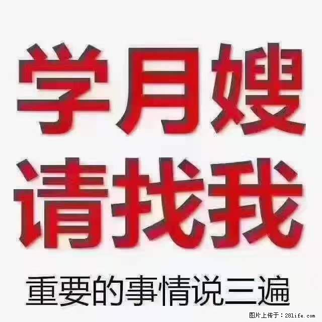 为什么要学习月嫂,育婴师? - 其他广告 - 广告专区 - 株洲分类信息 - 株洲28生活网 zhuzhou.28life.com