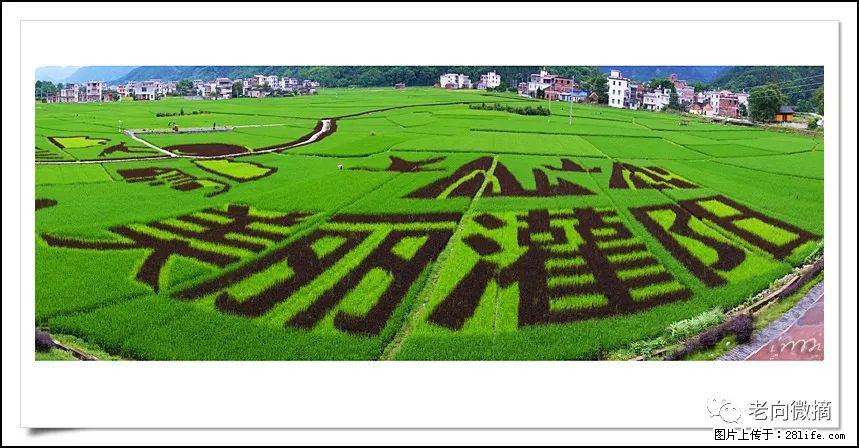 【春天,广西桂林灌阳县向您发出邀请!】开篇 - 游山玩水 - 株洲生活社区 - 株洲28生活网 zhuzhou.28life.com