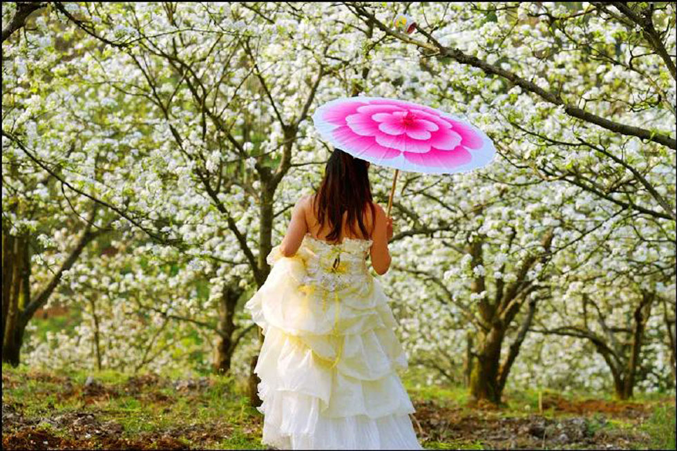 【春天,广西桂林灌阳县向您发出邀请!】我们在灌阳看梨花 - 游山玩水 - 株洲生活社区 - 株洲28生活网 zhuzhou.28life.com