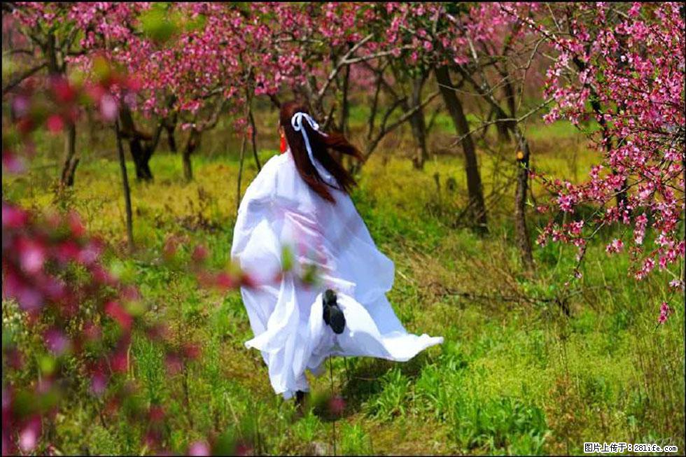 【春天,广西桂林灌阳县向您发出邀请!】官庄村有个醉美的桃花园 - 游山玩水 - 株洲生活社区 - 株洲28生活网 zhuzhou.28life.com