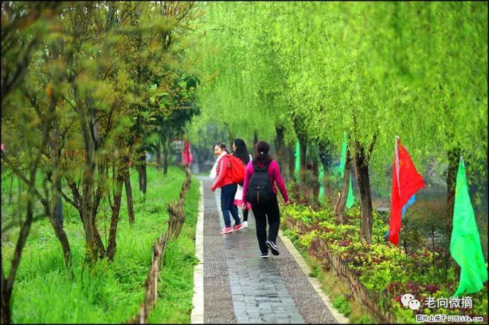 【春天，广西桂林灌阳县向您发出邀请！】江口老街又逢春 - 游山玩水 - 株洲生活社区 - 株洲28生活网 zhuzhou.28life.com