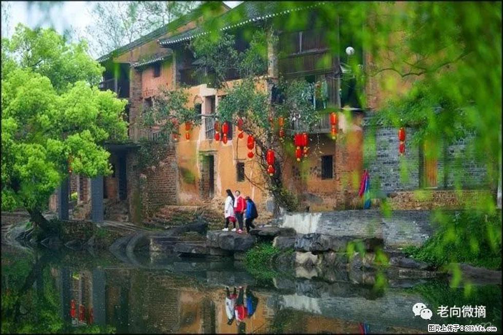 【春天，广西桂林灌阳县向您发出邀请！】江口老街又逢春 - 游山玩水 - 株洲生活社区 - 株洲28生活网 zhuzhou.28life.com
