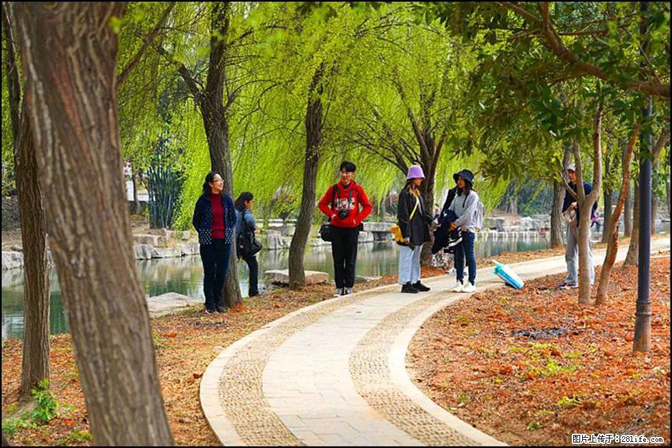 【春天，广西桂林灌阳县向您发出邀请！】江口老街又逢春 - 游山玩水 - 株洲生活社区 - 株洲28生活网 zhuzhou.28life.com