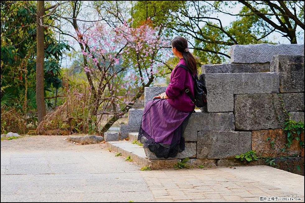 【春天，广西桂林灌阳县向您发出邀请！】江口老街又逢春 - 游山玩水 - 株洲生活社区 - 株洲28生活网 zhuzhou.28life.com