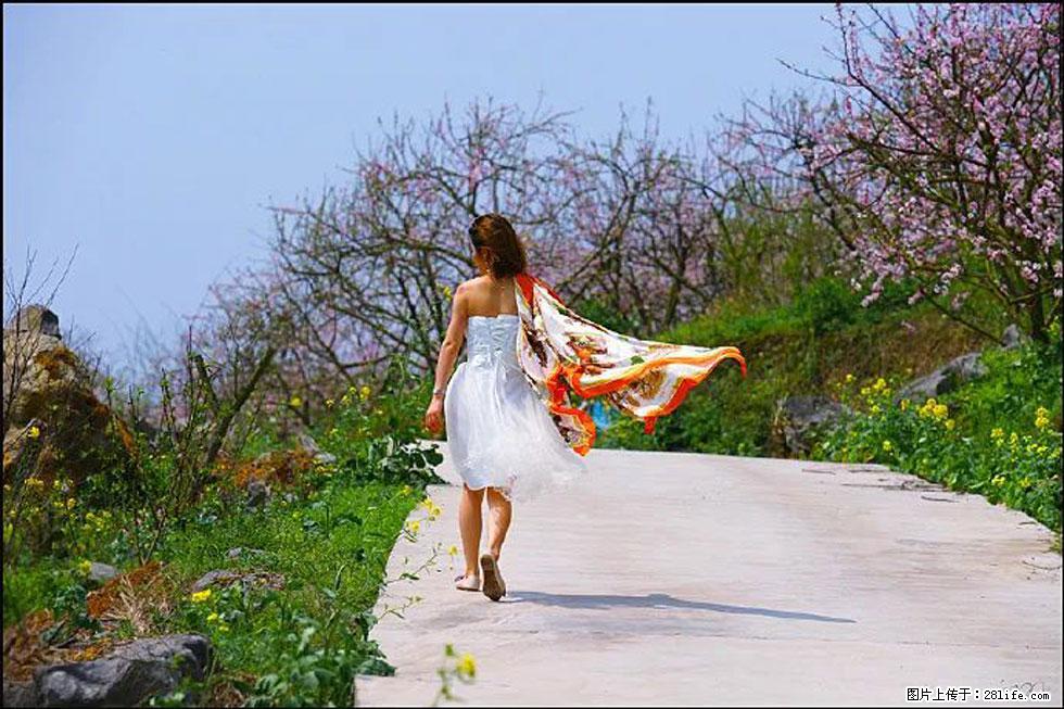 【春天,广西桂林灌阳县向您发出邀请!】望月岭上桃花开 - 游山玩水 - 株洲生活社区 - 株洲28生活网 zhuzhou.28life.com