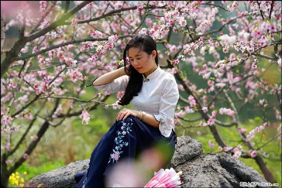 【春天,广西桂林灌阳县向您发出邀请!】望月岭上桃花开 - 游山玩水 - 株洲生活社区 - 株洲28生活网 zhuzhou.28life.com