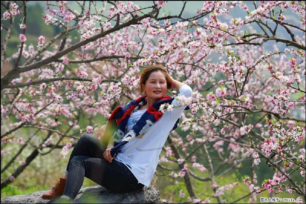 【春天,广西桂林灌阳县向您发出邀请!】望月岭上桃花开 - 游山玩水 - 株洲生活社区 - 株洲28生活网 zhuzhou.28life.com