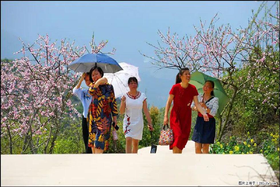 【春天,广西桂林灌阳县向您发出邀请!】望月岭上桃花开 - 游山玩水 - 株洲生活社区 - 株洲28生活网 zhuzhou.28life.com