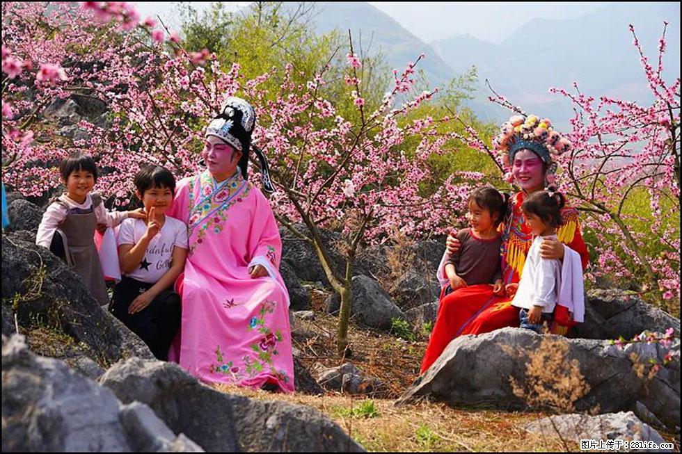 【春天,广西桂林灌阳县向您发出邀请!】望月岭上桃花开 - 游山玩水 - 株洲生活社区 - 株洲28生活网 zhuzhou.28life.com
