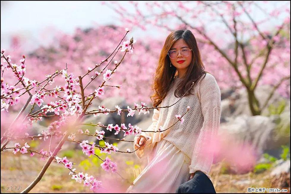 【春天,广西桂林灌阳县向您发出邀请!】望月岭上桃花开 - 游山玩水 - 株洲生活社区 - 株洲28生活网 zhuzhou.28life.com