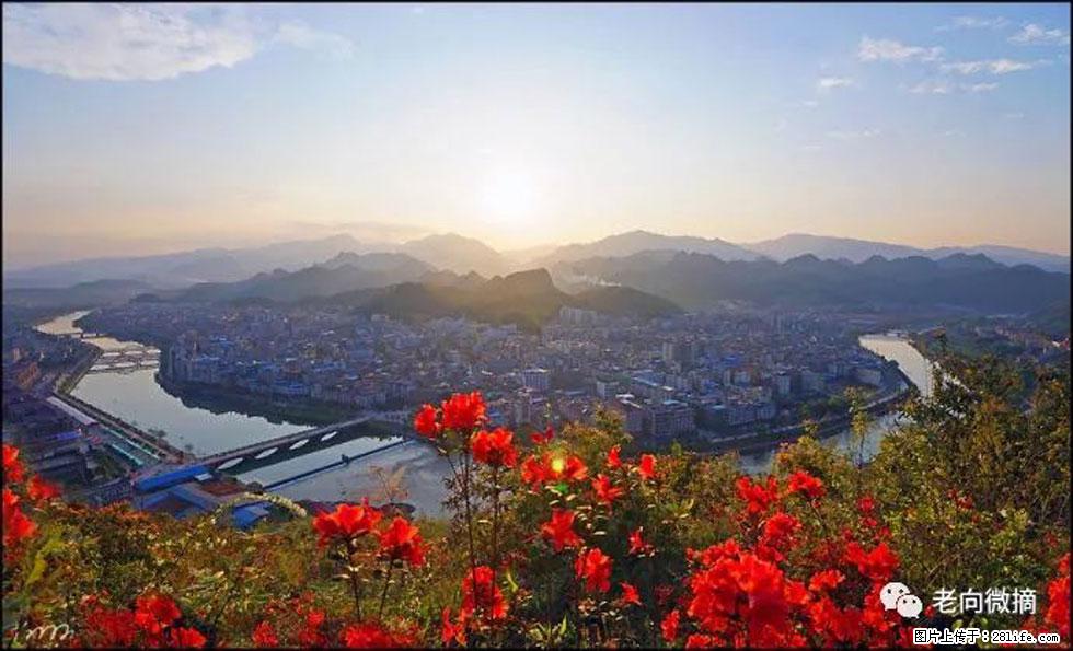 【春天，广西桂林灌阳县向您发出邀请！】登麒麟山，相约映山红 - 游山玩水 - 株洲生活社区 - 株洲28生活网 zhuzhou.28life.com
