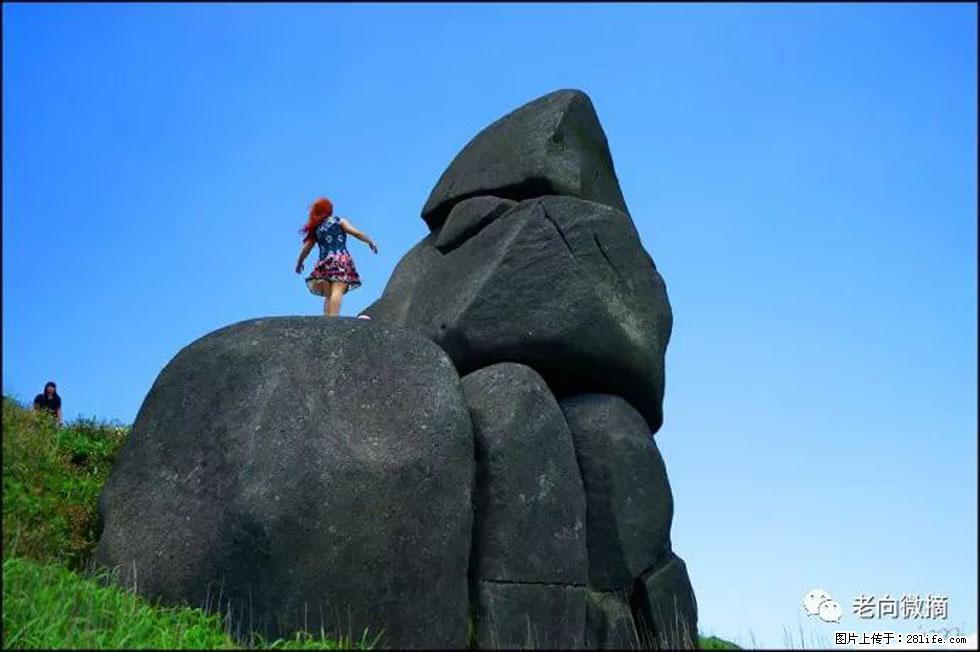 【春天,广西桂林灌阳县向您发出邀请!】宝盖山上映山红 - 游山玩水 - 株洲生活社区 - 株洲28生活网 zhuzhou.28life.com