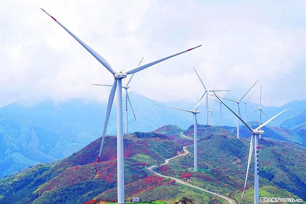 【春天,广西桂林灌阳县向您发出邀请!】春木界上映山红 - 游山玩水 - 株洲生活社区 - 株洲28生活网 zhuzhou.28life.com