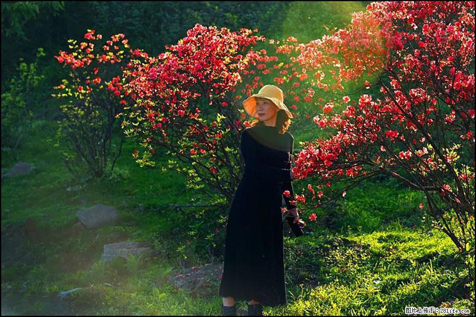 【春天,广西桂林灌阳县向您发出邀请!】春木界上映山红 - 游山玩水 - 株洲生活社区 - 株洲28生活网 zhuzhou.28life.com