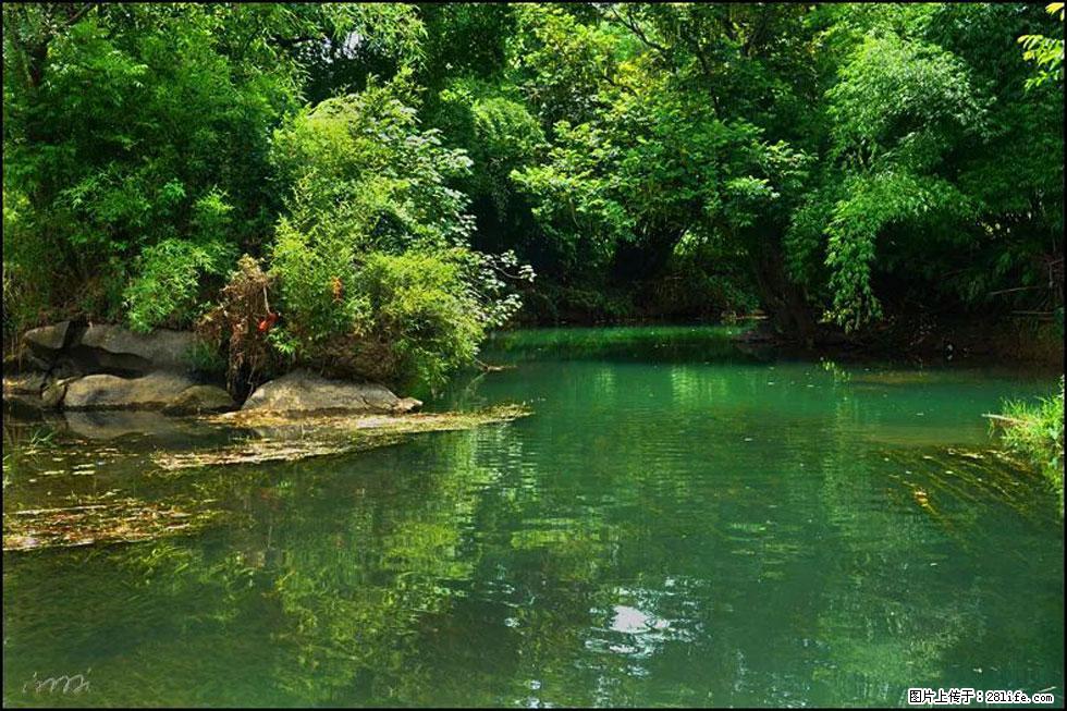 【春天,广西桂林灌阳县向您发出邀请!】如梦似幻莲溪庐 - 游山玩水 - 株洲生活社区 - 株洲28生活网 zhuzhou.28life.com