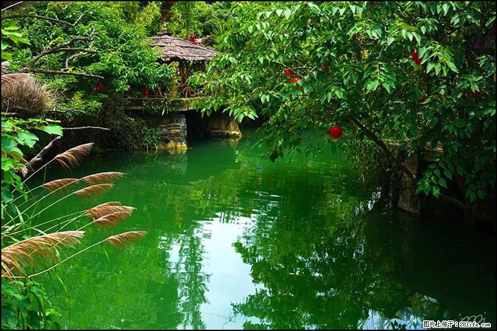 【春天,广西桂林灌阳县向您发出邀请!】如梦似幻莲溪庐 - 游山玩水 - 株洲生活社区 - 株洲28生活网 zhuzhou.28life.com