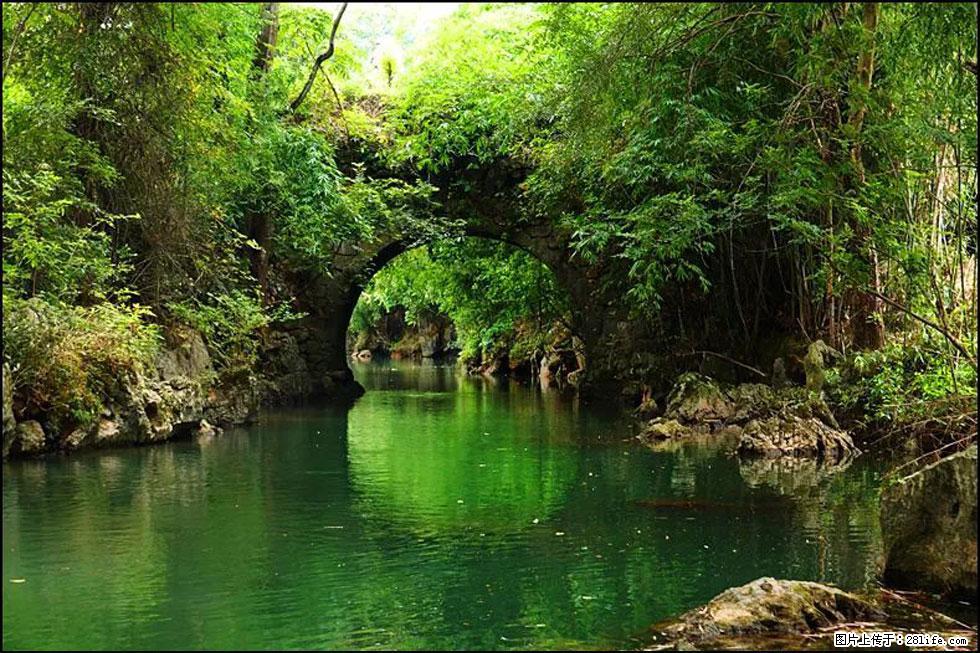 【春天,广西桂林灌阳县向您发出邀请!】如梦似幻莲溪庐 - 游山玩水 - 株洲生活社区 - 株洲28生活网 zhuzhou.28life.com