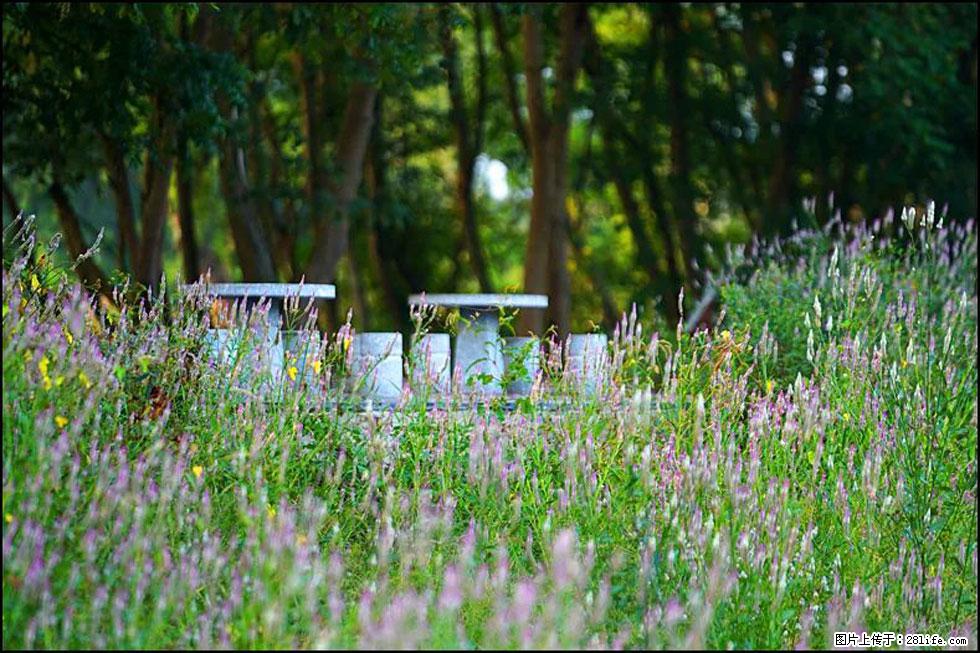 【春天,广西桂林灌阳县向您发出邀请!】熊家寨湿地公园 - 游山玩水 - 株洲生活社区 - 株洲28生活网 zhuzhou.28life.com