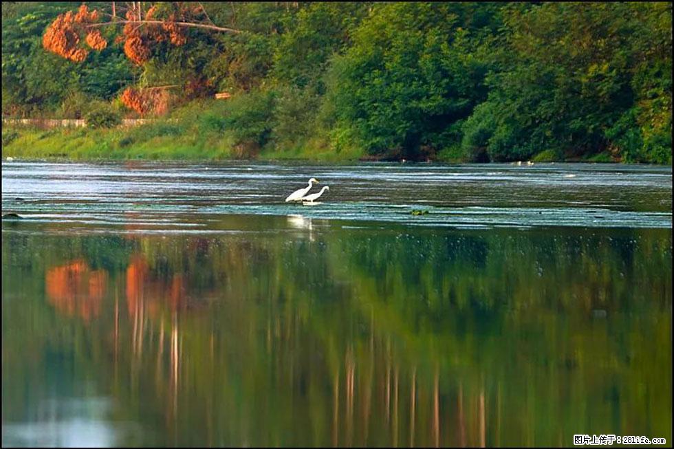 【春天,广西桂林灌阳县向您发出邀请!】熊家寨湿地公园 - 游山玩水 - 株洲生活社区 - 株洲28生活网 zhuzhou.28life.com