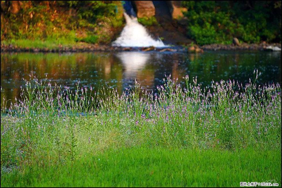 【春天,广西桂林灌阳县向您发出邀请!】熊家寨湿地公园 - 游山玩水 - 株洲生活社区 - 株洲28生活网 zhuzhou.28life.com