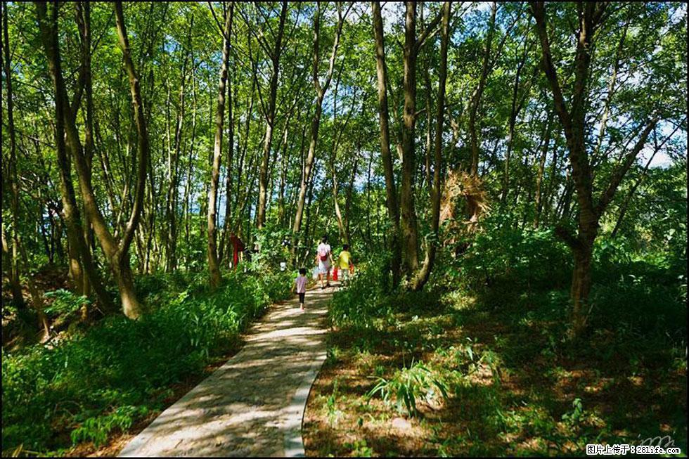 【春天,广西桂林灌阳县向您发出邀请!】熊家寨湿地公园 - 游山玩水 - 株洲生活社区 - 株洲28生活网 zhuzhou.28life.com