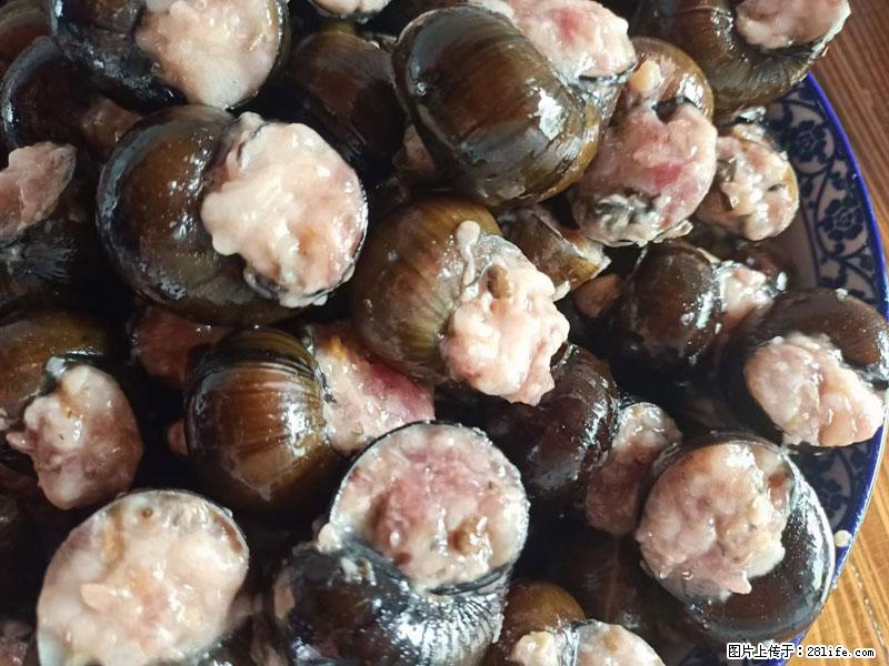 （舌尖上的乡村）灌阳：让人口齿留香的田螺酿 - 2023年07月31日 桂林日报第6版刊发 - 美食天地 - 株洲生活社区 - 株洲28生活网 zhuzhou.28life.com