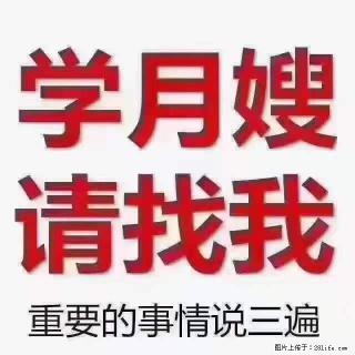 为什么要学习月嫂，育婴师？ - 株洲28生活网 zhuzhou.28life.com