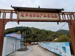 【灌阳县油茶产业示范区】一个有着充实的精神生活的人，对待身外之物自会有一种淡泊的态度 - 株洲28生活网 zhuzhou.28life.com