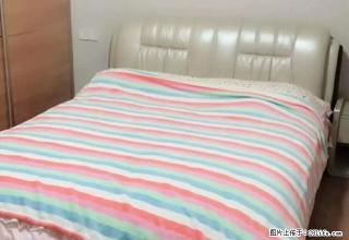 中心医院 共和城 康馨佳园 精装3房 温馨入住 仅租1998 - 株洲28生活网 zhuzhou.28life.com