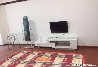 市中心 大汉希尔顿旁 家润多 精装公寓 可以短租月付拎包入住 - 株洲28生活网 zhuzhou.28life.com