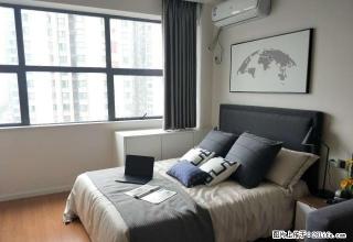 高端租房请点击，部分房源展示图，均为真实图片，公寓两房都有。 - 株洲28生活网 zhuzhou.28life.com