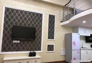 市中心 中心广场 大汉希尔顿 急租 豪装白领理想的一居室 有 - 株洲28生活网 zhuzhou.28life.com