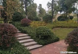 栗雨湖 精装两房 全新家电 等你入住 - 株洲28生活网 zhuzhou.28life.com