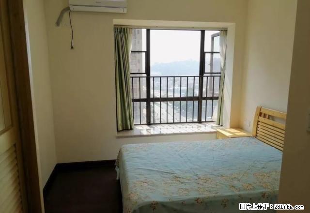 精装.家电齐全一加一加一味道十足的房子 - 房屋出租 - 房屋租售 - 株洲分类信息 - 株洲28生活网 zhuzhou.28life.com