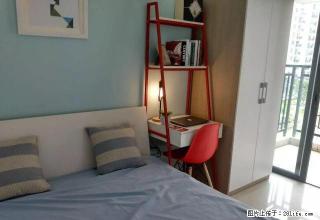 好房子来啦！！1市中心两房精装等你来住 拎包入住 - 株洲28生活网 zhuzhou.28life.com