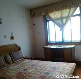 中医院、凯旋名门旁、贺家土附近精装修两房急租 - 株洲28生活网 zhuzhou.28life.com