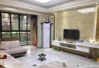 红旗广场 东方明园 精装三室两厅 房东好说话 诚心 出租 - 株洲28生活网 zhuzhou.28life.com