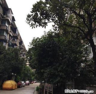 中医院 神农公园 文化园 中等装修两房诚心出租 - 株洲28生活网 zhuzhou.28life.com