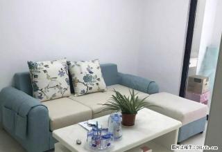 炎帝广场神龙城旁全新精装修公寓从未出租拎包入住 - 株洲28生活网 zhuzhou.28life.com