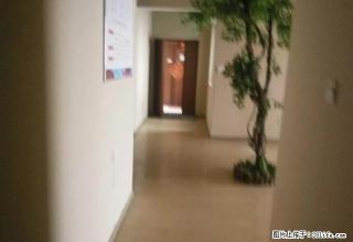 平和堂3房2厅电梯高层光亮 外阳台 全视野江景 办公居家都可 - 株洲28生活网 zhuzhou.28life.com