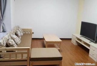 湖景房 文化园 全新精装两房 客厅都带飘窗哦 诚心出租 - 株洲28生活网 zhuzhou.28life.com