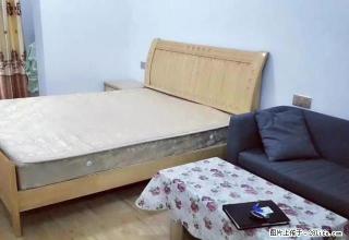 服装市场 精装公寓 配套齐全 出租 随时看房 - 株洲28生活网 zhuzhou.28life.com