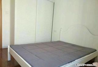 紧急！紧急！房东急租~此房今必租，精致装修一室一厅，呆萌价格 - 株洲28生活网 zhuzhou.28life.com