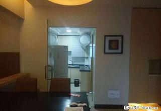 山水国际正规1室1厅75平米 豪华装修 拎包入住 - 株洲28生活网 zhuzhou.28life.com