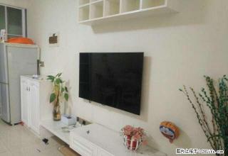 大汉希尔顿 平和堂 中旺景安城温馨整洁公寓 一室一厅等你入住 - 株洲28生活网 zhuzhou.28life.com