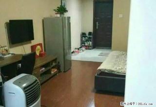 市中心 精装公寓 诚心出租 快来 天然气入户 什么都有 - 株洲28生活网 zhuzhou.28life.com