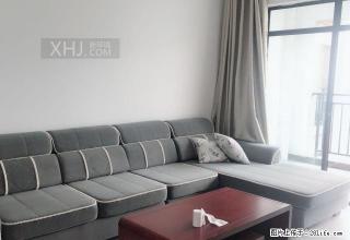 炎帝广场附近 工大对面 龙腾国际 全新精装三房 家电齐全 - 株洲28生活网 zhuzhou.28life.com