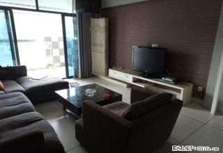 芦淞区 山水国际 豪华两房出租 纯天然氧吧 一线江景房 - 株洲28生活网 zhuzhou.28life.com