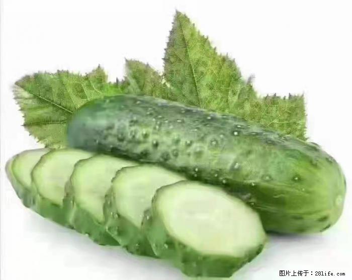 【生活小常识】吃黄瓜的好处 - 生活百科 - 株洲生活社区 - 株洲28生活网 zhuzhou.28life.com