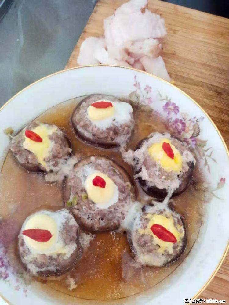 【招聘】住家保姆，工作地点，上海 - 职场交流 - 株洲生活社区 - 株洲28生活网 zhuzhou.28life.com